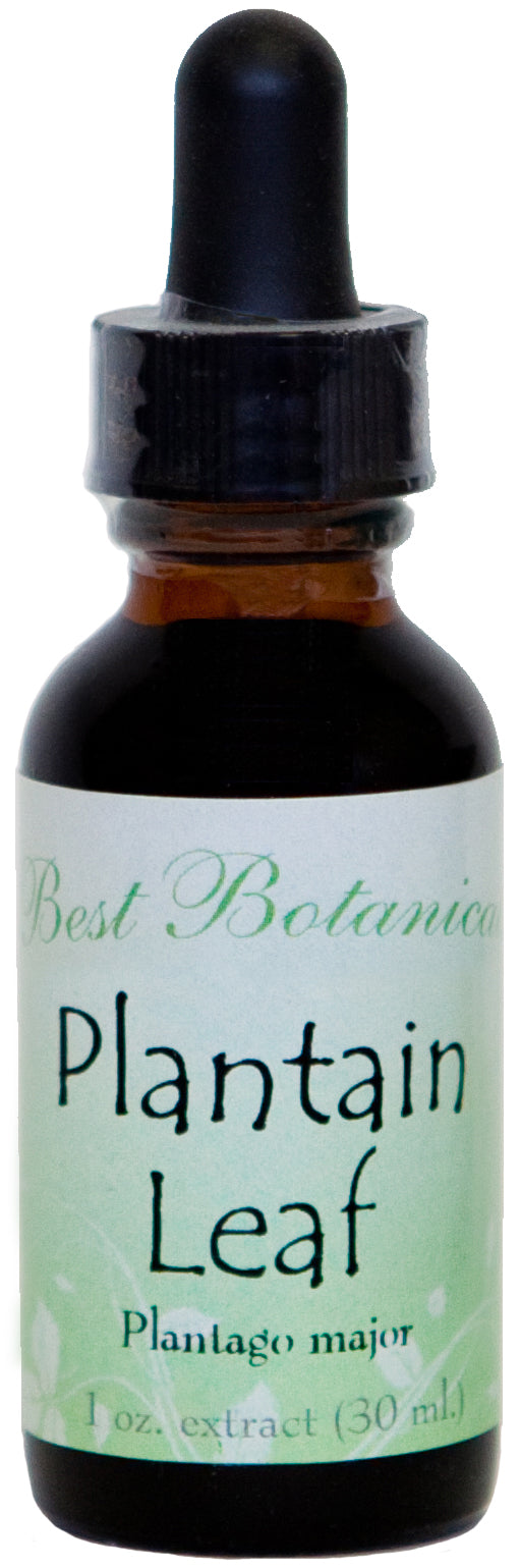 Plantain Leaf 1 oz