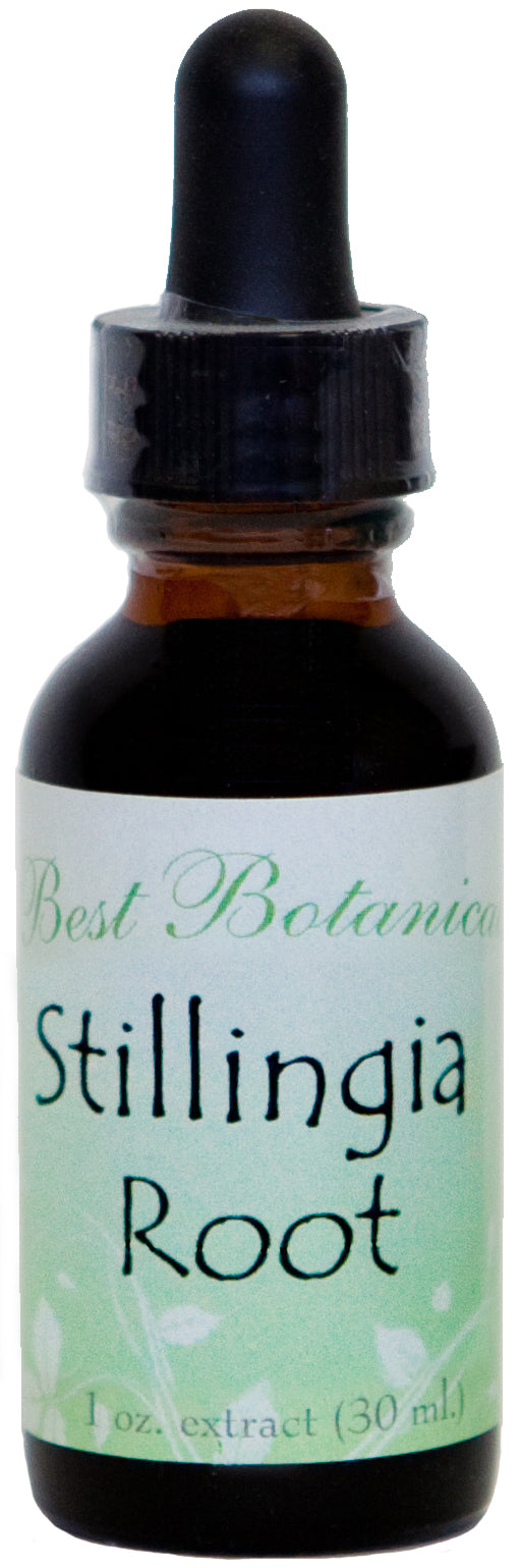 Stillingia Root 1 oz