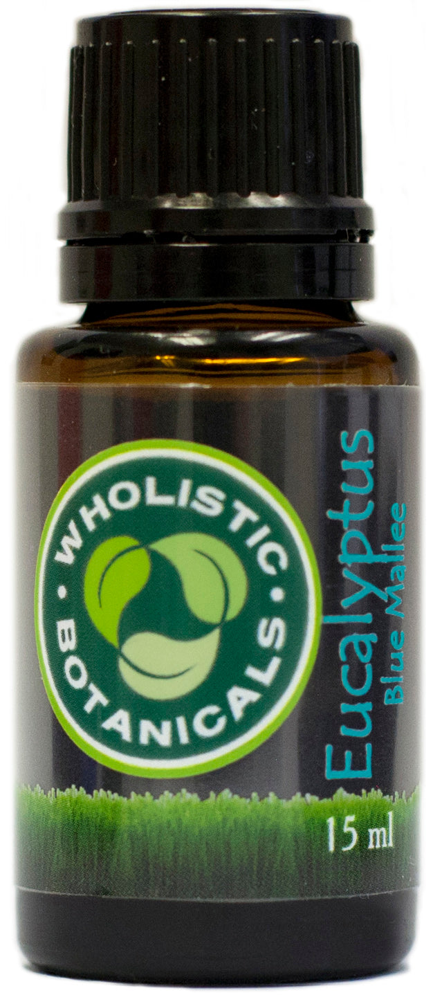 Eucalyptus Blue Mallee 15 ml